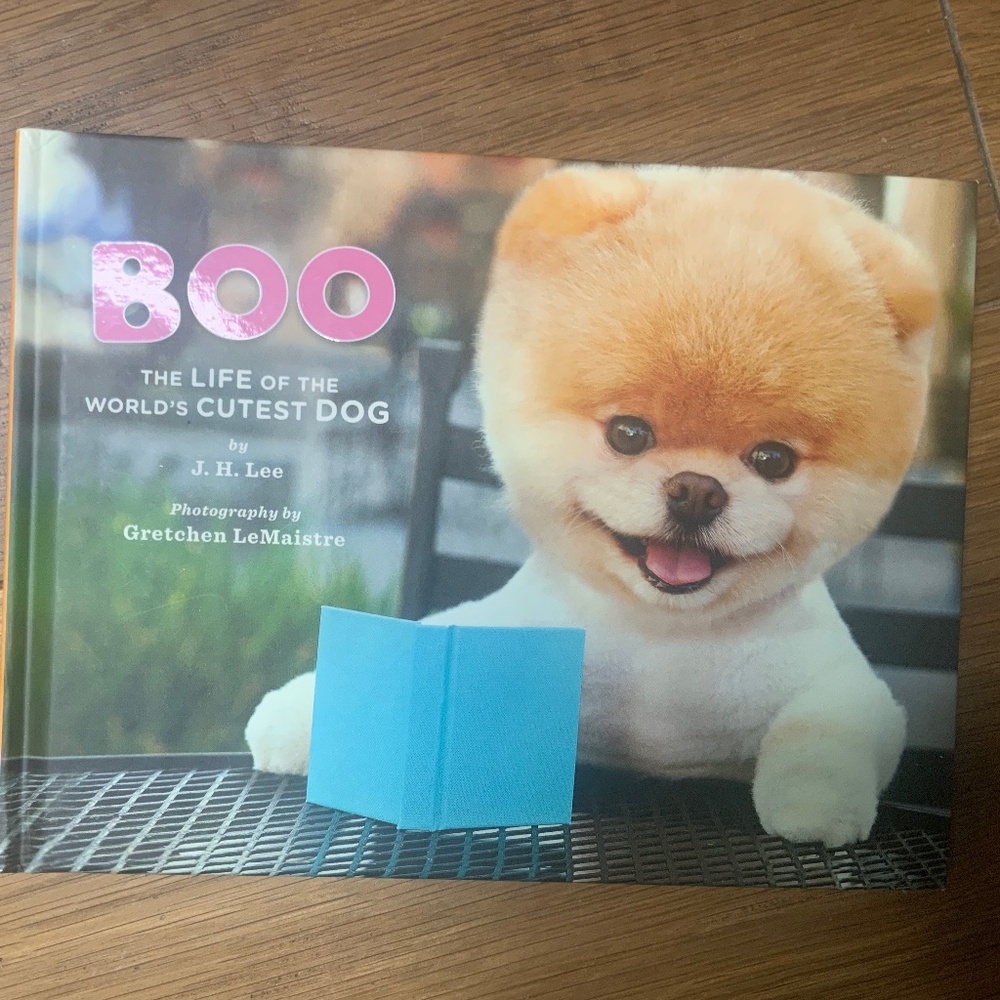Boo The Life of the World’s Cutest Dog Book